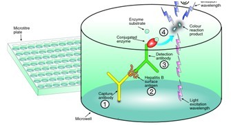 熒光定量微孔板技術(shù)平臺(tái)